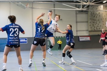 Bild 49 - wBJ HTS/BW96 Handball - Niendorfer TSV : Ergebnis: 27:27